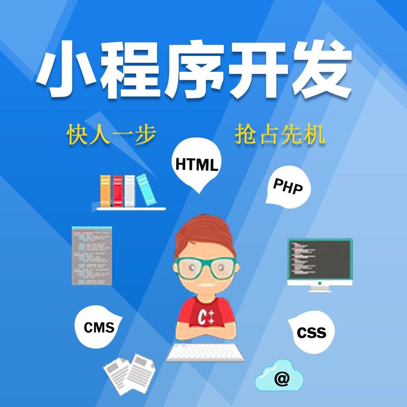 小程序开发:轻量化应用的创新浪潮